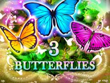 3 Butterflies