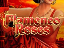 Flamenco Roses