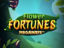 Flower Fortunes Megaways