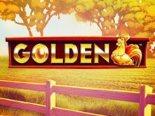 Golden Hen