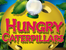 Hungry Caterpillars