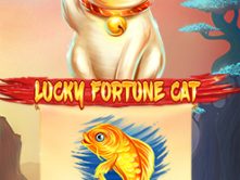 Lucky Fortune Cat