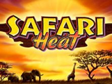 Safari Heat