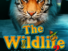 The Wildlife 2