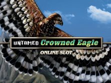 Untamed Crowned Eagle